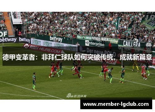 德甲变革者：非拜仁球队如何突破传统，成就新篇章